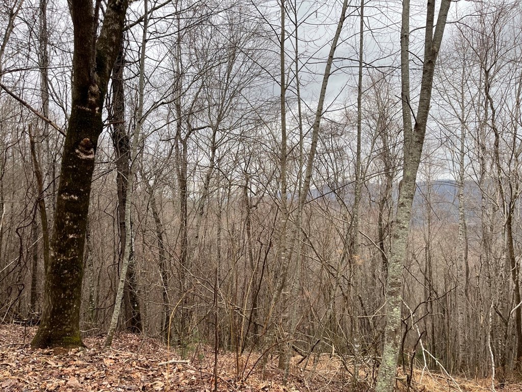 19 Lots Crockett Mountain, HAYESVILLE, New York image 17
