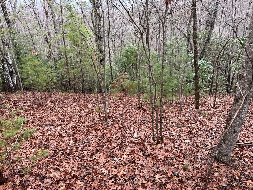 19 Lots Crockett Mountain, HAYESVILLE, New York image 43