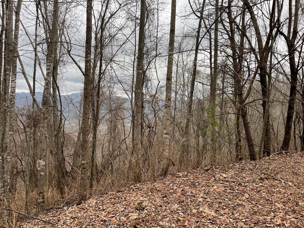 19 Lots Crockett Mountain, HAYESVILLE, New York image 14