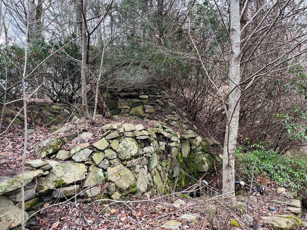 19 Lots Crockett Mountain, HAYESVILLE, New York image 2