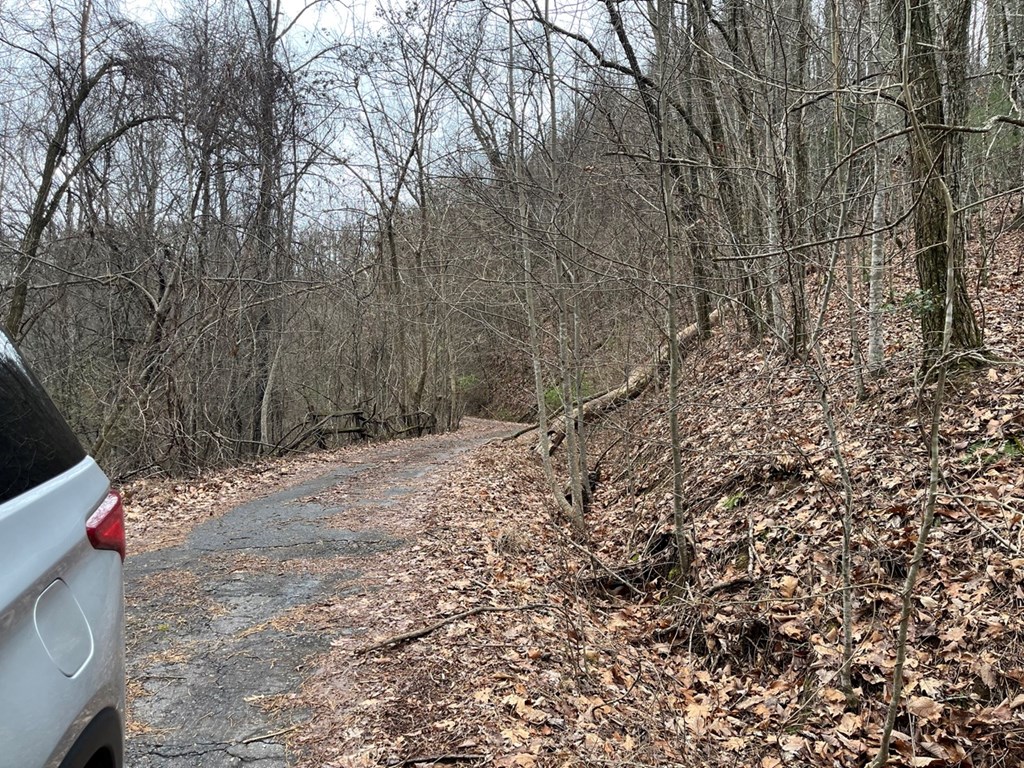19 Lots Crockett Mountain, HAYESVILLE, New York image 26