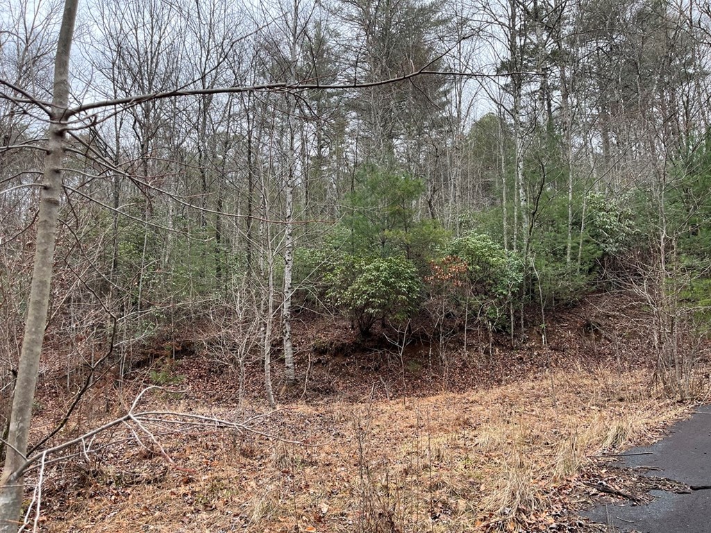 19 Lots Crockett Mountain, HAYESVILLE, New York image 47