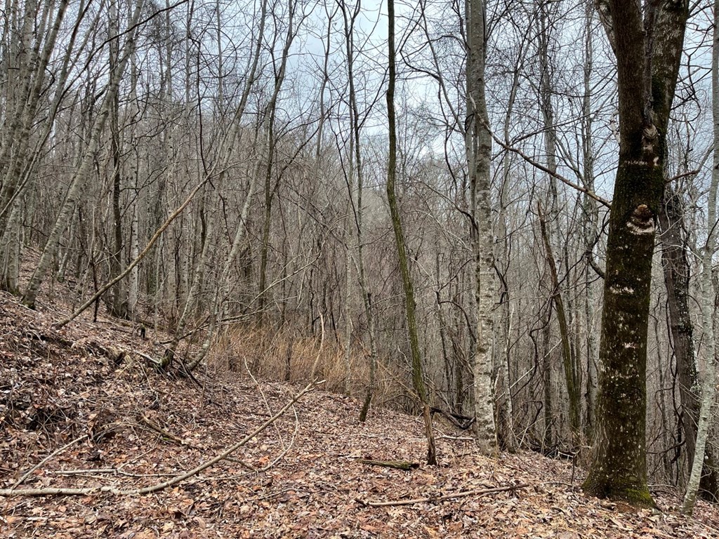 19 Lots Crockett Mountain, HAYESVILLE, New York image 19