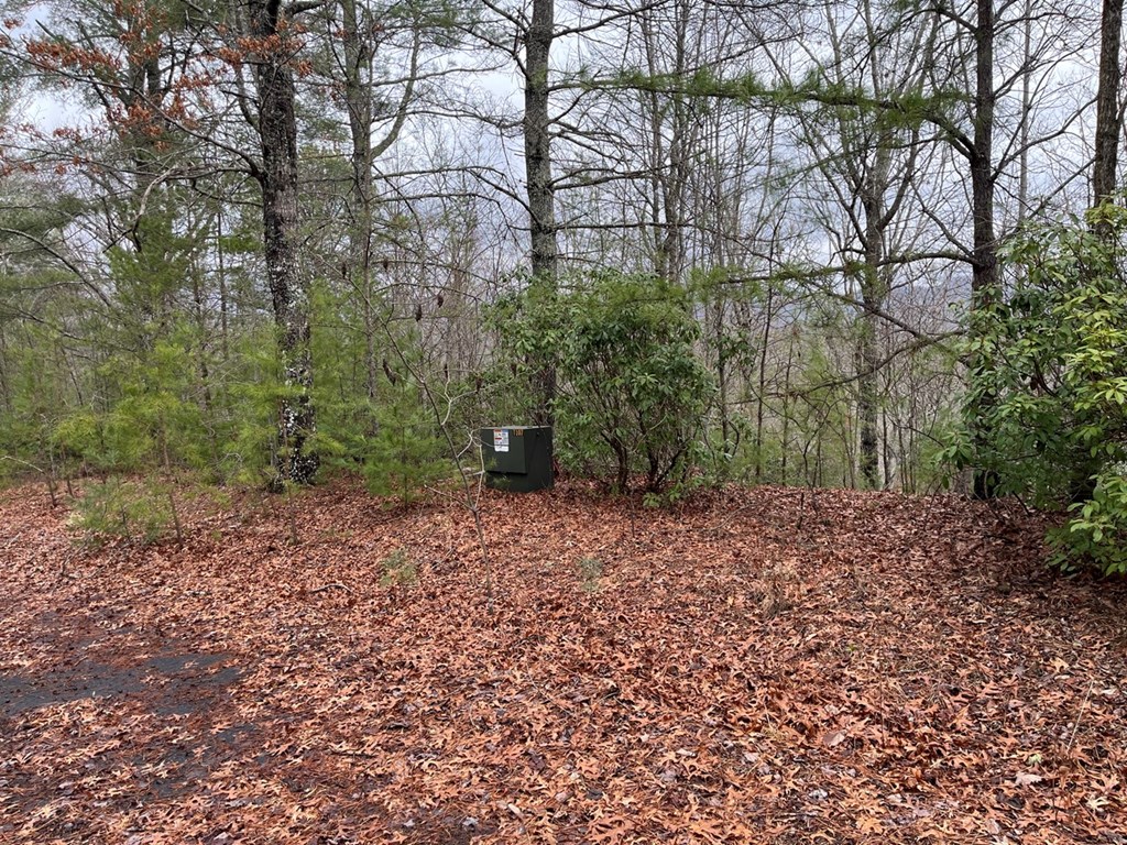 19 Lots Crockett Mountain, HAYESVILLE, New York image 39