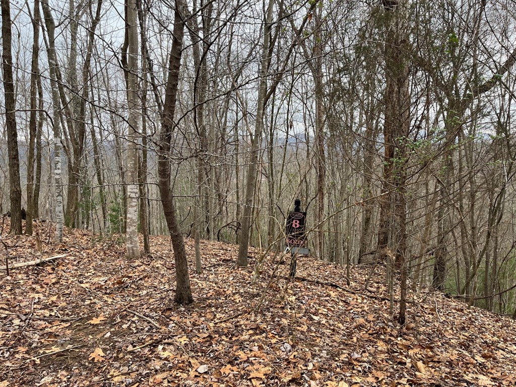 19 Lots Crockett Mountain, HAYESVILLE, New York image 34