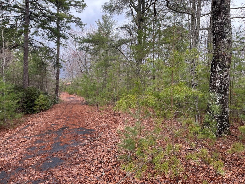 19 Lots Crockett Mountain, HAYESVILLE, New York image 40