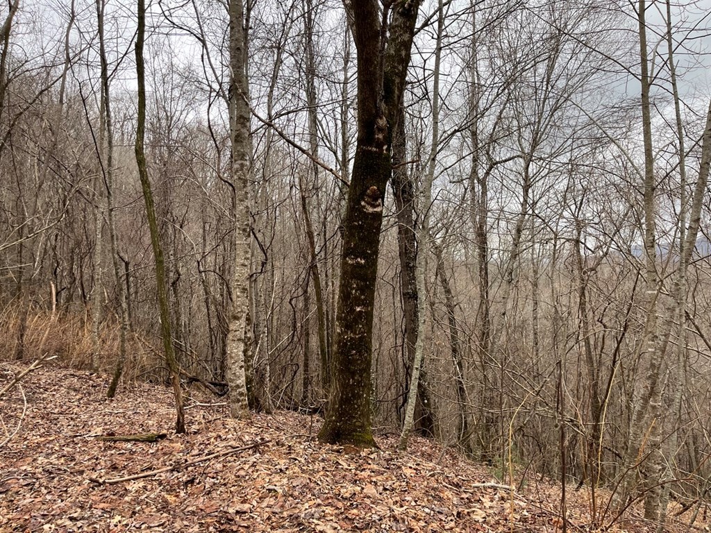 19 Lots Crockett Mountain, HAYESVILLE, New York image 18
