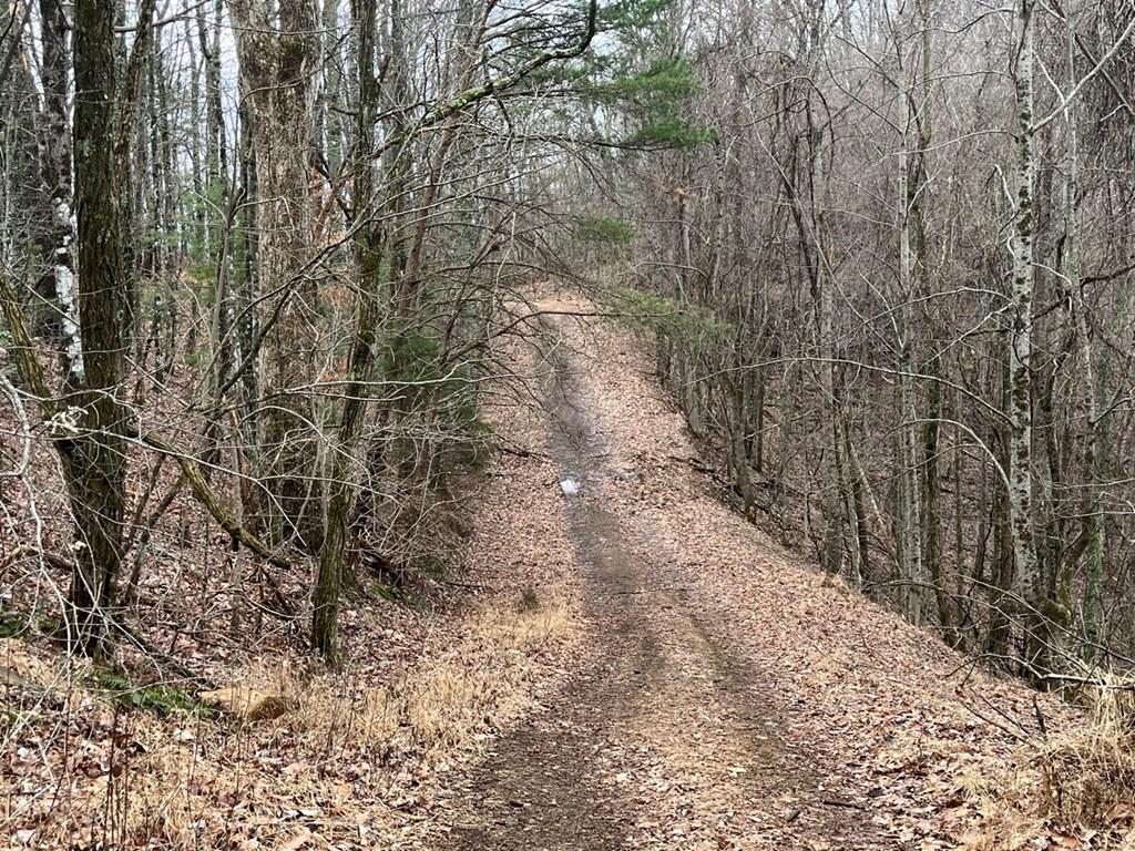19 Lots Crockett Mountain, HAYESVILLE, New York image 10