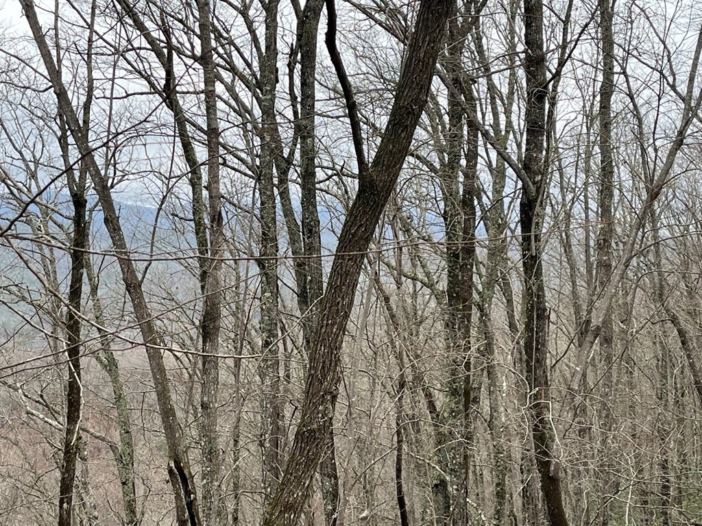 19 Lots Crockett Mountain, HAYESVILLE, New York image 6
