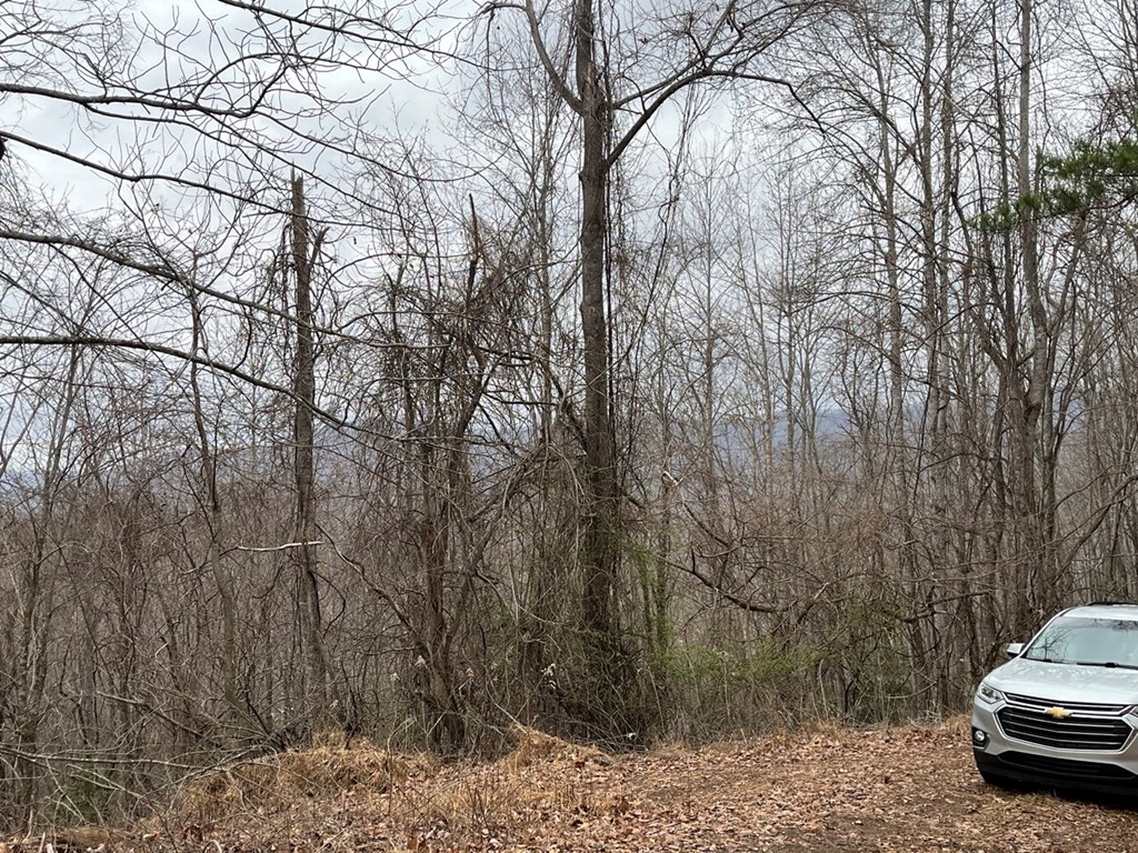 19 Lots Crockett Mountain, HAYESVILLE, New York image 9
