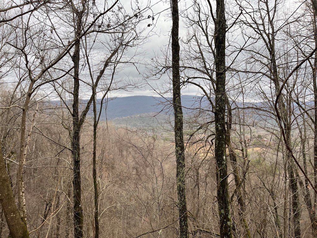 19 Lots Crockett Mountain, HAYESVILLE, New York image 23