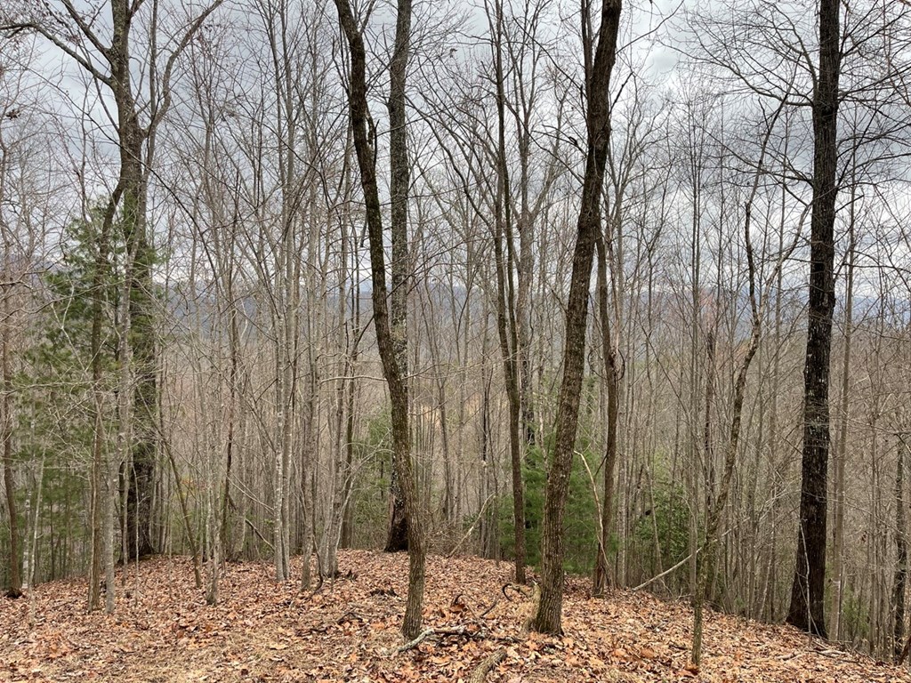 19 Lots Crockett Mountain, HAYESVILLE, New York image 35