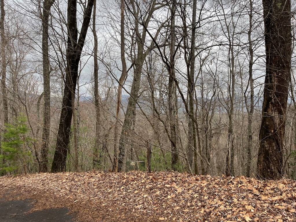 19 Lots Crockett Mountain, HAYESVILLE, New York image 30