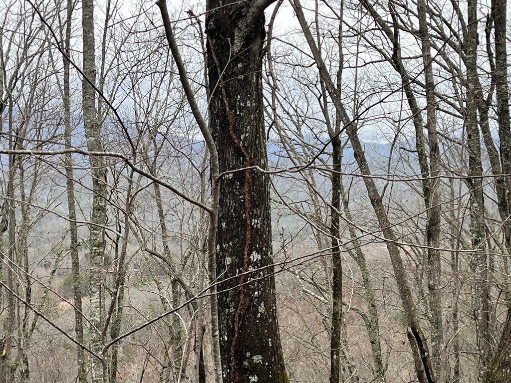 19 Lots Crockett Mountain, HAYESVILLE, New York image 5