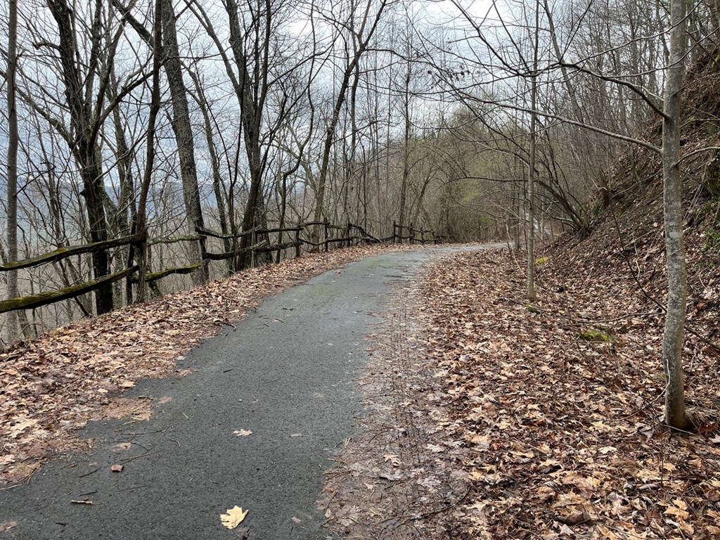 19 Lots Crockett Mountain, HAYESVILLE, New York image 22