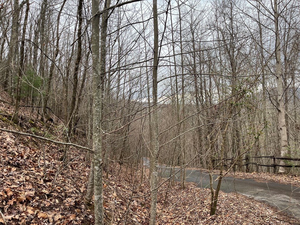 19 Lots Crockett Mountain, HAYESVILLE, New York image 28