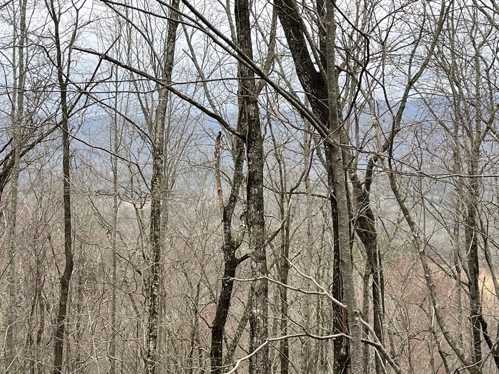 19 Lots Crockett Mountain, HAYESVILLE, New York image 4