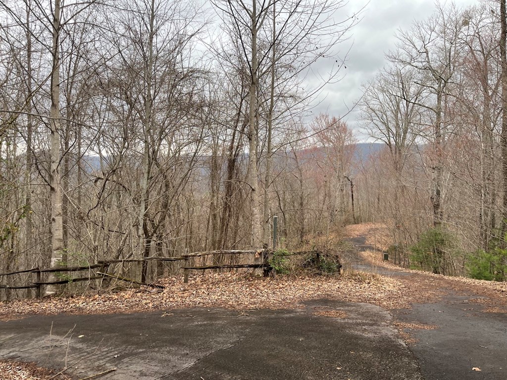 19 Lots Crockett Mountain, HAYESVILLE, New York image 29