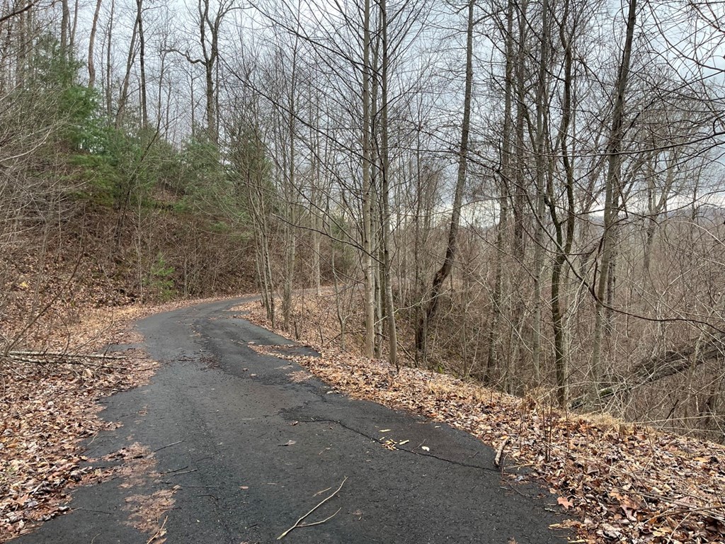 19 Lots Crockett Mountain, HAYESVILLE, New York image 36