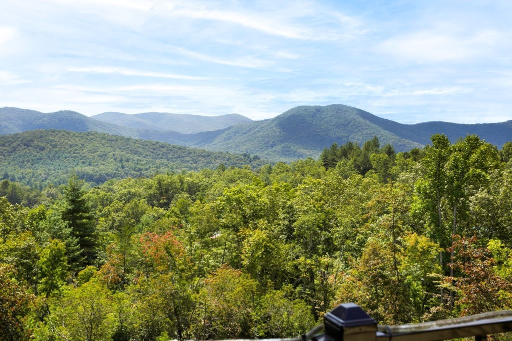 205 Hightower Ridge, HIAWASSEE, Georgia image 6