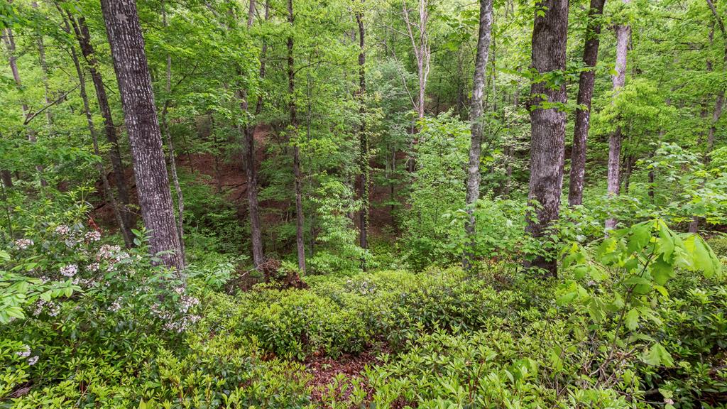 326 Rebel Lane, HAYESVILLE, North Carolina image 43