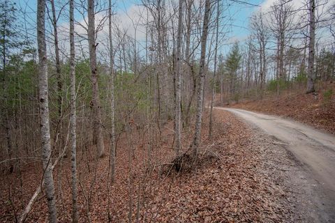 Vacant Land For Sale - LOT 38 Posey Place #38<br/> MURPHY, NC 28906