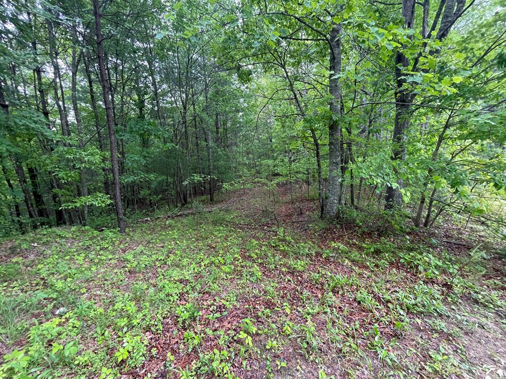 Tall Timber Road #PO 2, MURPHY, North Carolina image 1