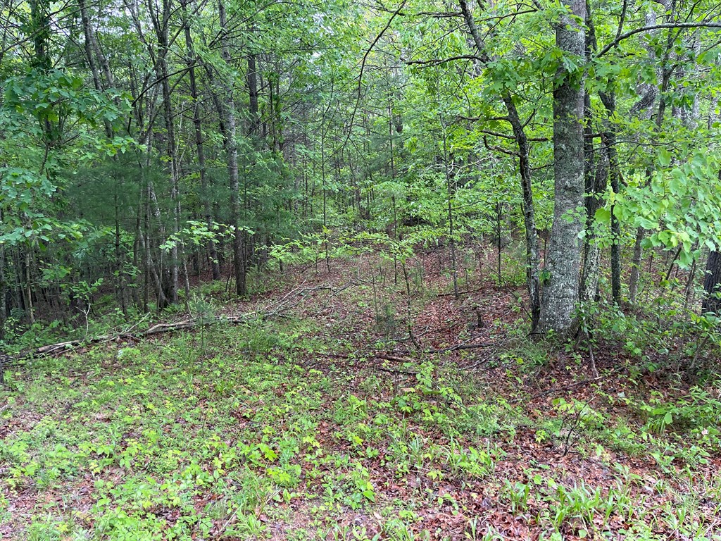 Tall Timber Road #PO 2, MURPHY, North Carolina image 2