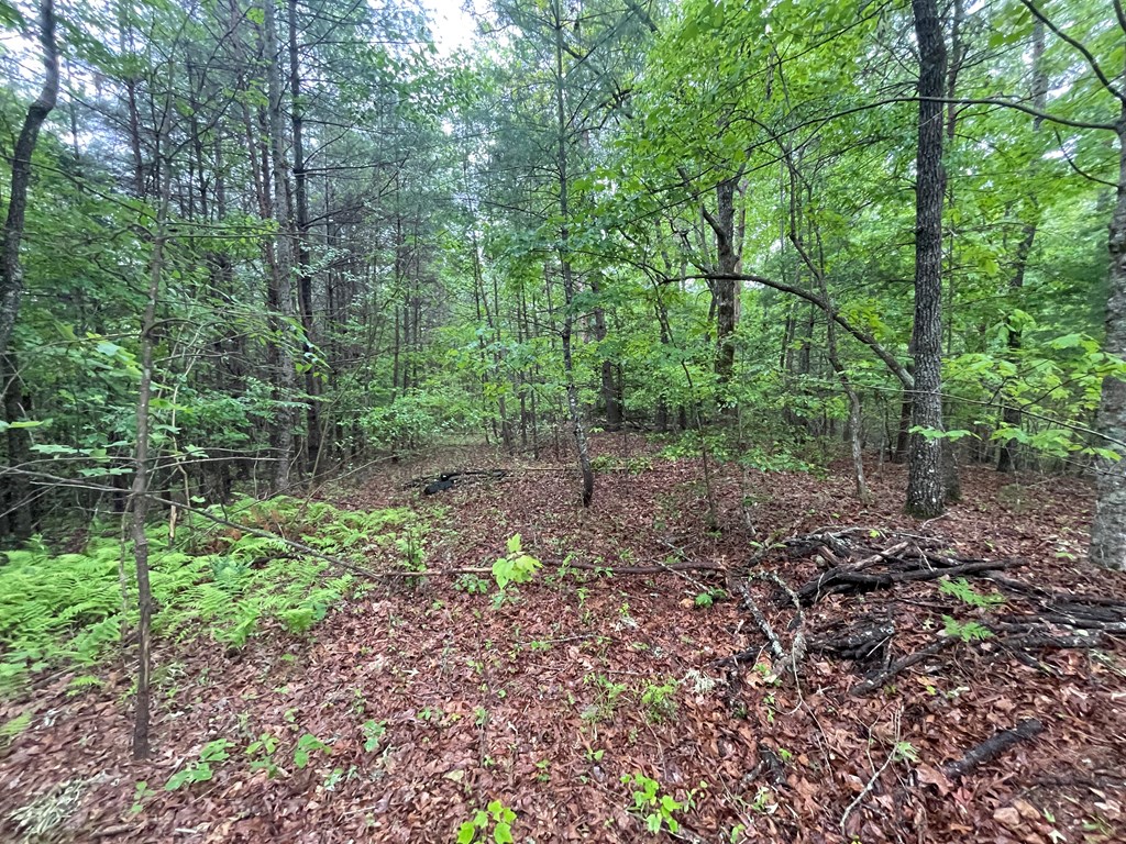 Tall Timber Road #PO 2, MURPHY, North Carolina image 3