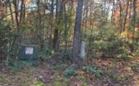 Vacant Land For Sale - 2B Ashley Trail #2B<br/> WARNE, NC 28909