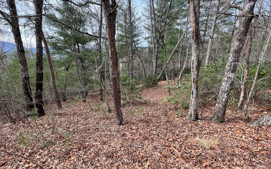 Lot 3 Harbour Heights #3, HAYESVILLE, North Carolina image 9