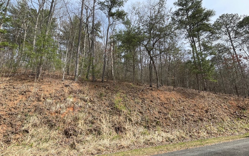 Lot 3 Harbour Heights #3, HAYESVILLE, North Carolina image 15