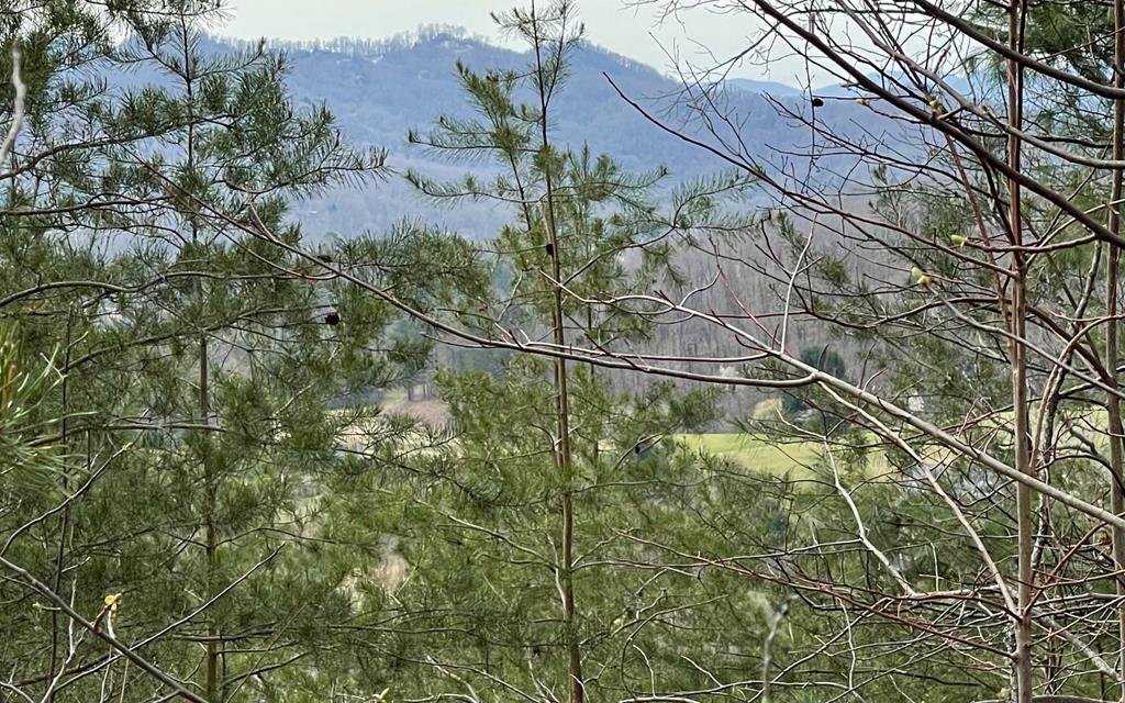 Lot 3 Harbour Heights #3, HAYESVILLE, North Carolina image 1