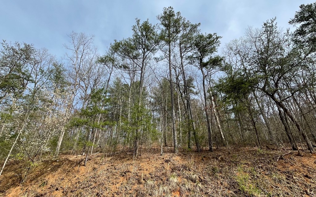 Lot 3 Harbour Heights #3, HAYESVILLE, North Carolina image 16