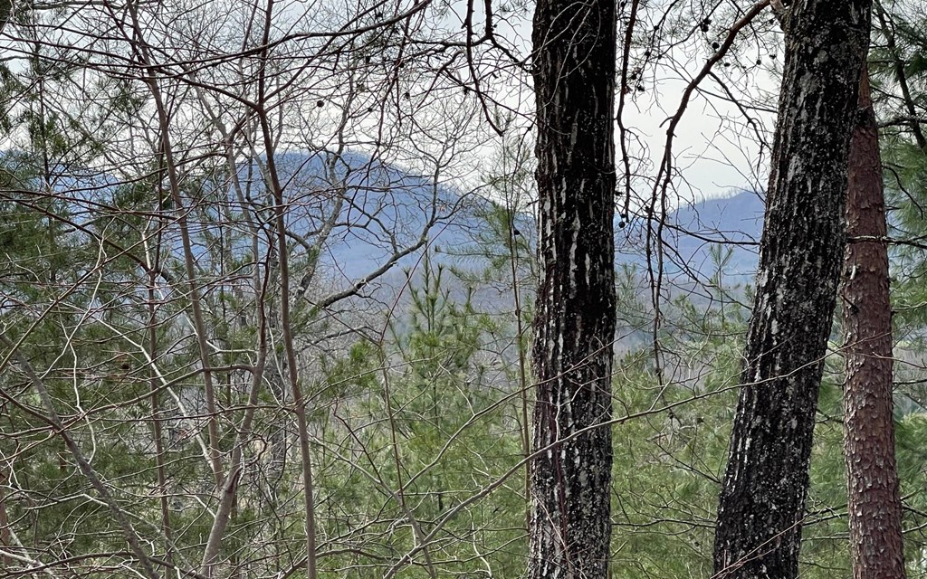 Lot 3 Harbour Heights #3, HAYESVILLE, North Carolina image 11