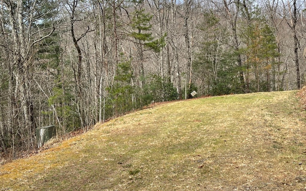 Lot 3 Harbour Heights #3, HAYESVILLE, North Carolina image 3