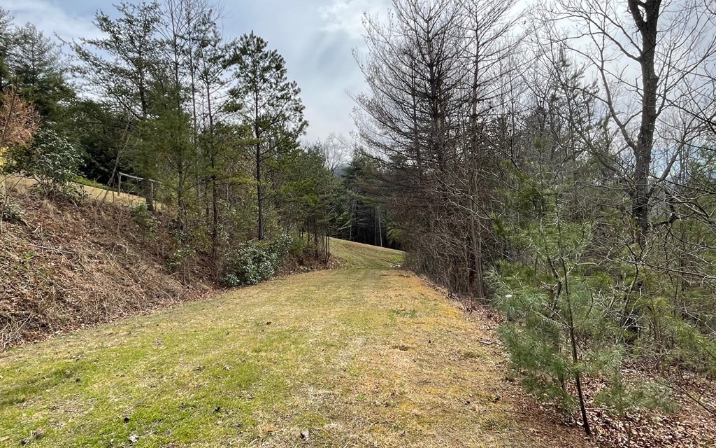 Lot 3 Harbour Heights #3, HAYESVILLE, North Carolina image 12