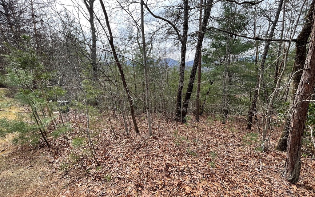 Lot 3 Harbour Heights #3, HAYESVILLE, North Carolina image 10