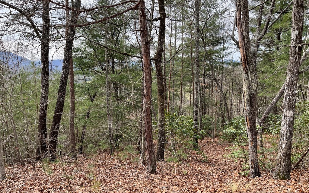 Lot 3 Harbour Heights #3, HAYESVILLE, North Carolina image 6
