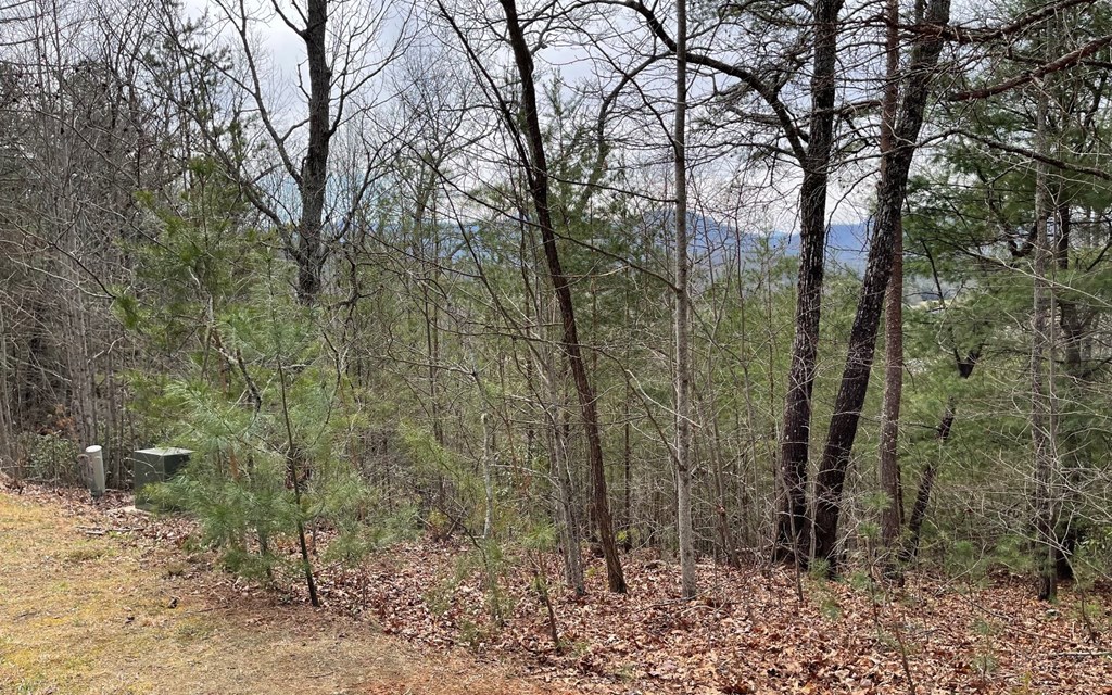 Lot 3 Harbour Heights #3, HAYESVILLE, North Carolina image 5
