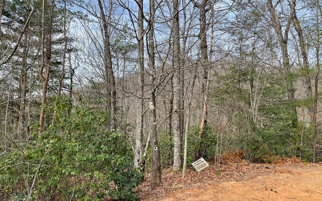 Lot 3 Harbour Heights #3, HAYESVILLE, North Carolina image 8