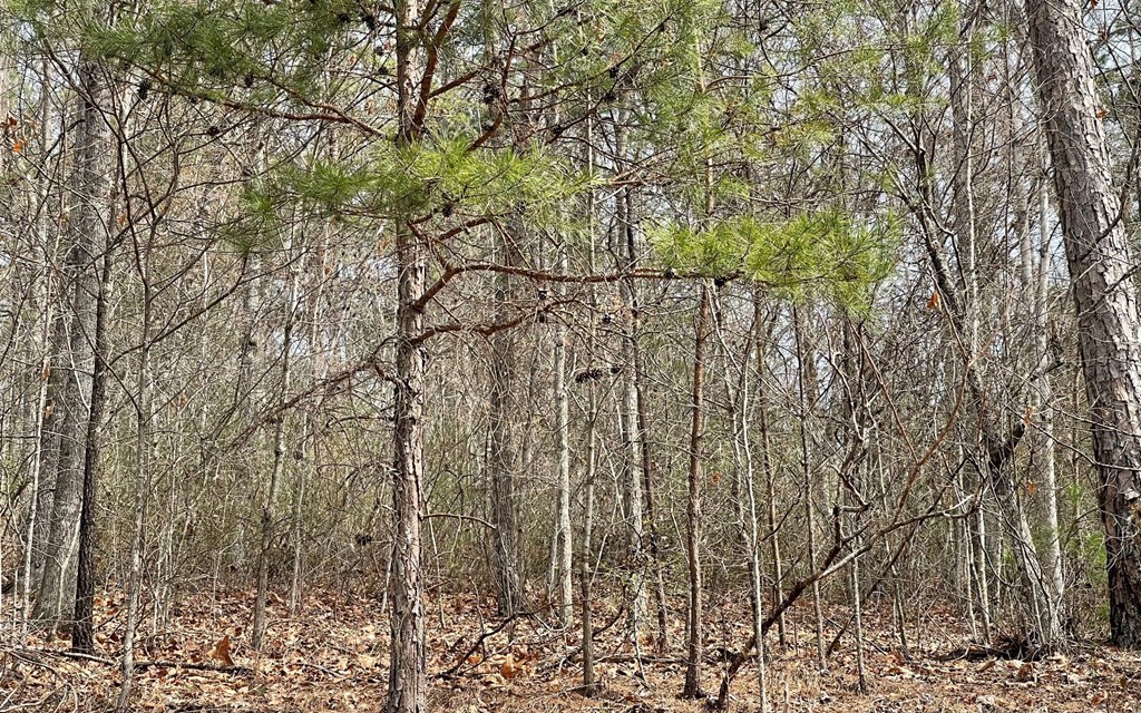 Lot 3 Harbour Heights #3, HAYESVILLE, North Carolina image 17