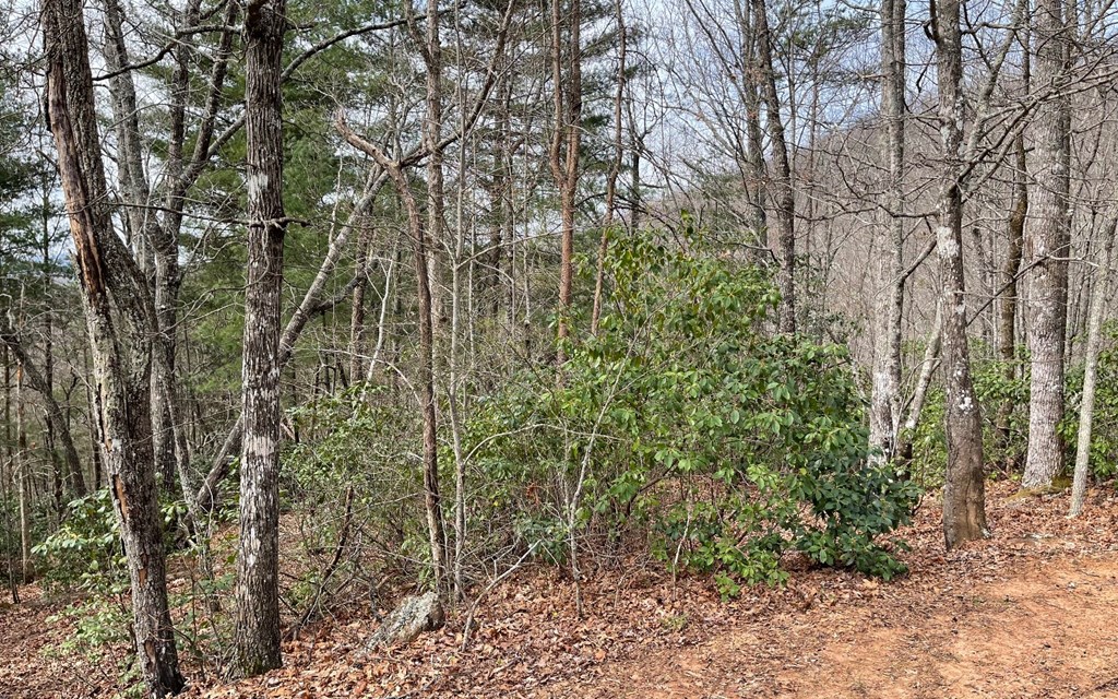 Lot 3 Harbour Heights #3, HAYESVILLE, North Carolina image 7