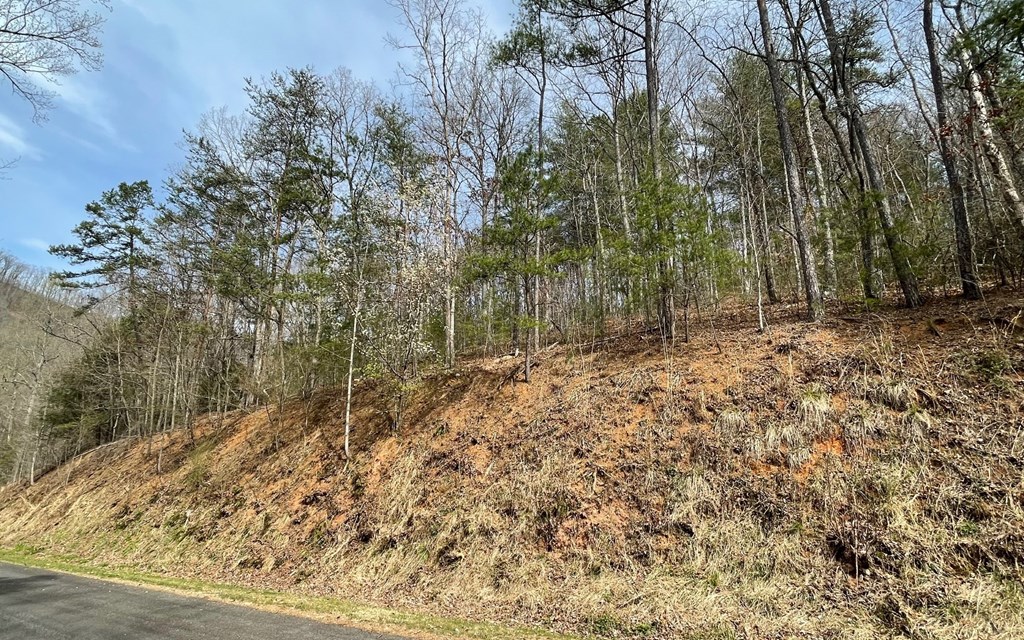 Lot 3 Harbour Heights #3, HAYESVILLE, North Carolina image 4