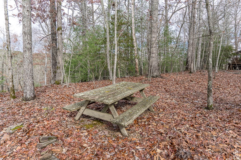 90 Galloway Gap, MURPHY, North Carolina image 35