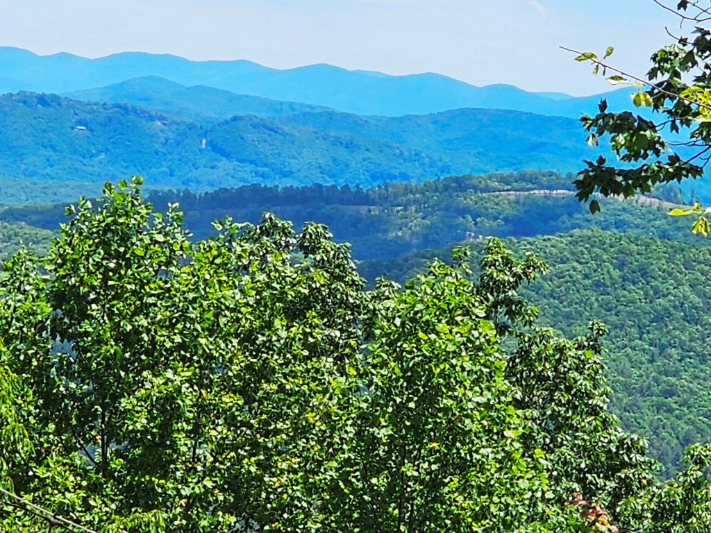 906 Hideaway Mountain Drive, MURPHY, North Carolina image 3