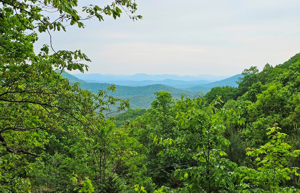 906 Hideaway Mountain Drive, MURPHY, North Carolina image 22