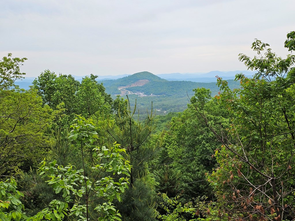 906 Hideaway Mountain Drive, MURPHY, North Carolina image 11