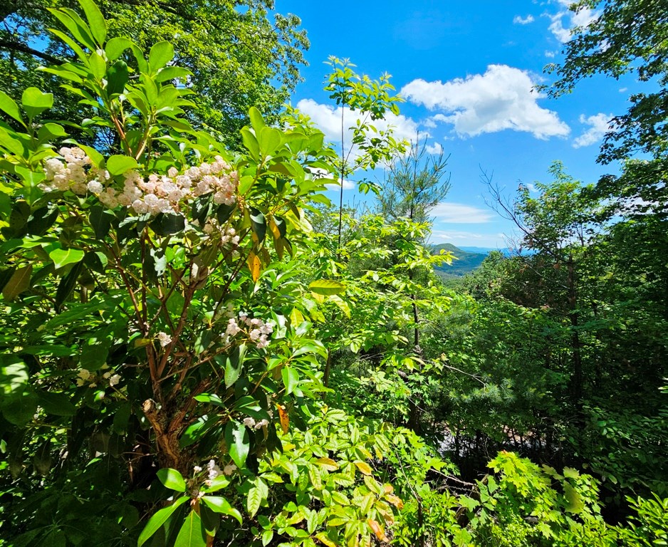906 Hideaway Mountain Drive, MURPHY, North Carolina image 50
