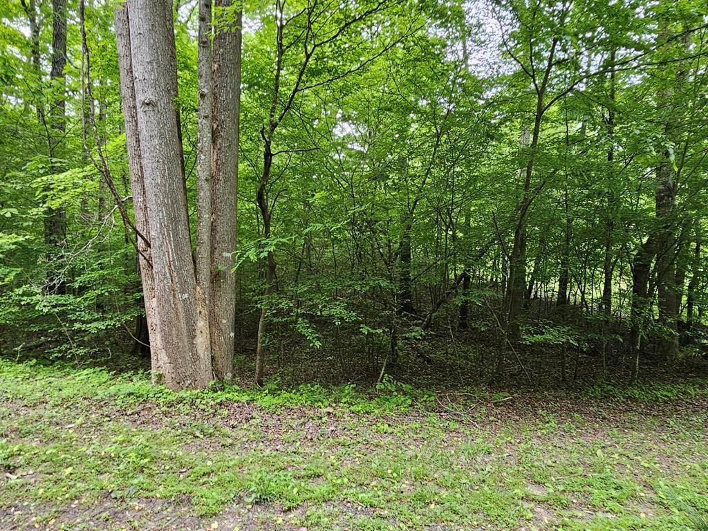 Photo 1 of 12 — 17 Lonesome Pine Unit 17, MURPHY, NC 28906